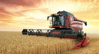 Украина уже собрала 62 млн тонн зерновых.