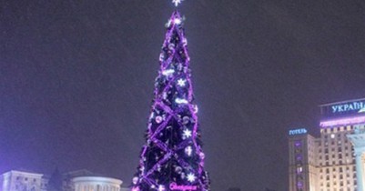 В Киеве начали устанавливать главную новогоднюю елку Украины.