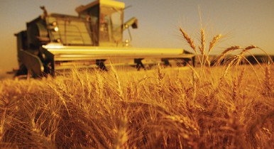 Экспортный зерновой потенциал Украины в 2013/14 МГ оценивается в 30-32 млн т.