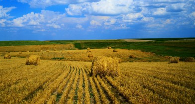 Соглашение об ассоциации с ЕС в нынешнем виде угрожает агросектору Украины.