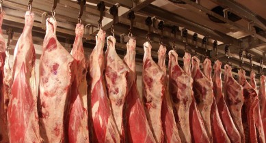 В Украине выросло производство мяса.
