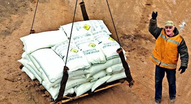 Украина уже экспортировала 15,9 млн тонн зерна.