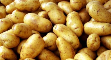 Картофель будет дорожать до конца маркетингового сезона.
