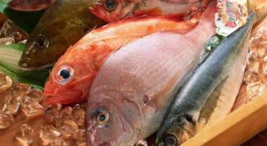 Россия запретила поставки рыбы из Норвегии с января.