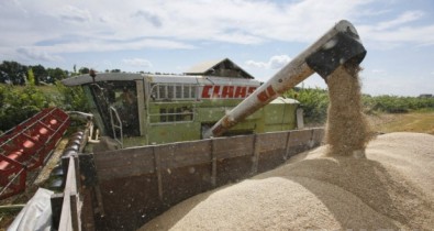 Государственная зерновая корпорация за год получила 28,8 млн грн прибыли.