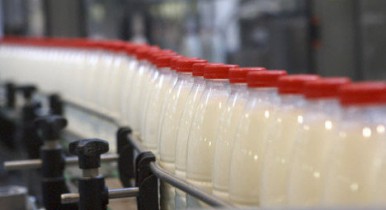 Россия запретила ввоз украинских молочных продуктов
