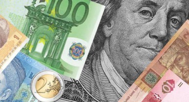 Экс-министр считает, что реальный курс доллара должен быть 10-11 гривен