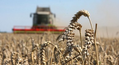 Во сколько обойдется кредит МВФ аграрному сектору Украины