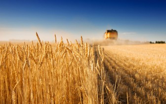 ЕБРР предоставил «Украинским аграрным инвестициям» кредитную линию на $13 млн