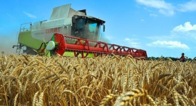 УКАБ: за полгода аграрные компании Украины подешевели на 20%