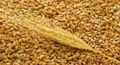 Аграрии собрали 40,2 млн тонн зерна