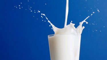 ЕС устроило качество украинских молочных продуктов