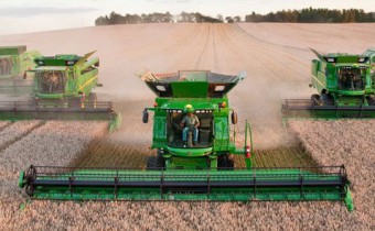 Минсельхоз США повысил прогноз урожая и экспорта украинского зерна