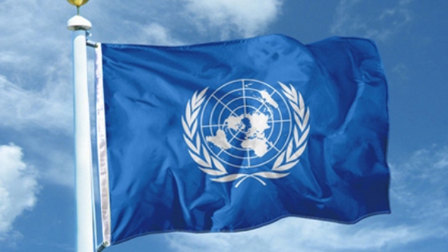 ООН разработала антикризисный план помощи для Украины