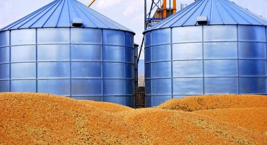 Минагрополитики повысило прогноз экспорта зерна на 1,5%.