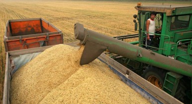 Верховной раде предложили сузить круг экспортеров зерновых.