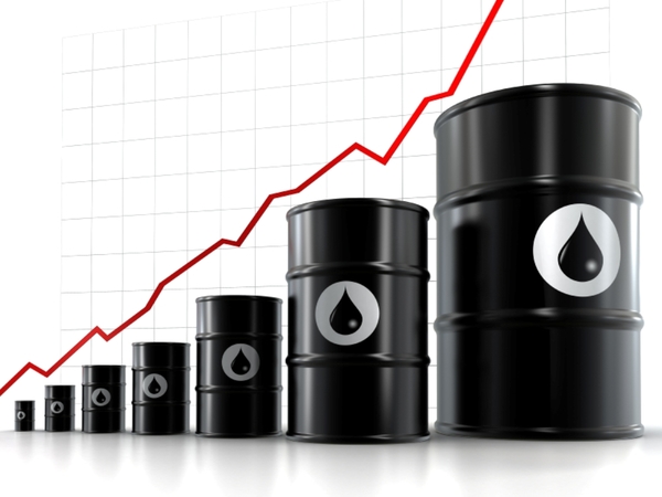 Ценны на нефть эталонных марок выросли.