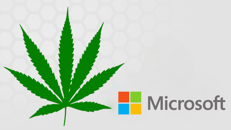 Компания Microsoft разработает программное обеспечение, которое будет отслеживать производство марихуаны «от семян до продажи».