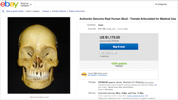 На крупнейшем в мире интернет-аукционе eBay больше нельзя будет приобрести аутентичный человеческий череп.