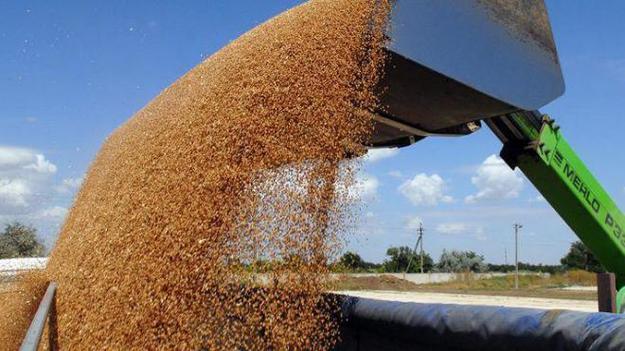 Украина экспортировала 40,7 миллиона тонн зерна, что на 1,7 миллиона тонн больше, чем за предыдущий период.