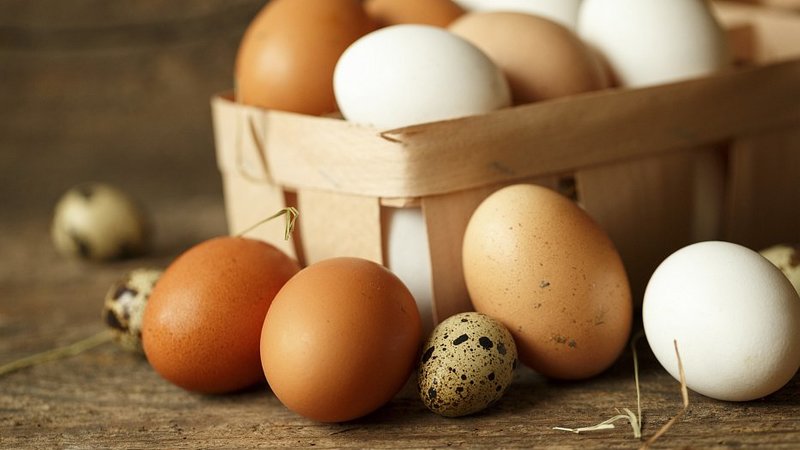В мае Украина экспортировала 7,01 тысяч тонн яиц, что на 60,41% больше чем в апреле (4,37 тысяч тонн).
