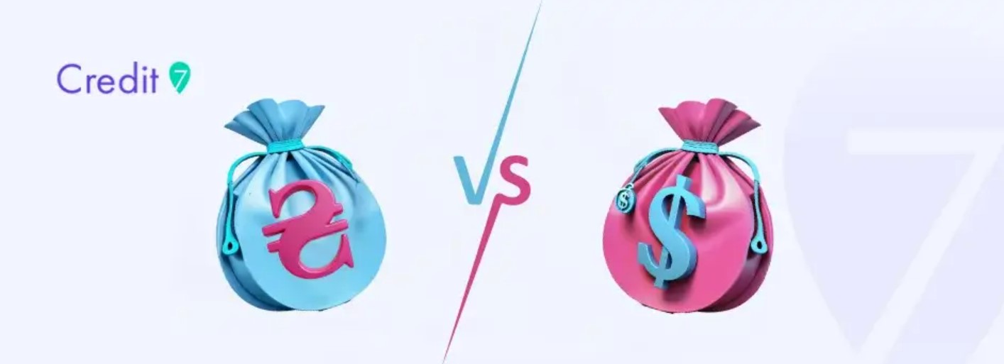 Что такое долларизация и почему она появляется