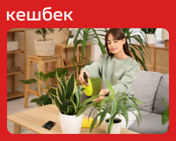 Июльский кэшбек от Аккордбанка