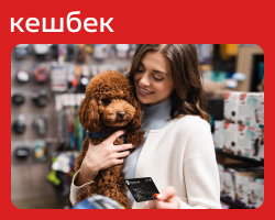 С Лучшей картой от Аккордбанка покупки для домашних любимцев могут быть еще более выгодными – получайте 20% кэшбека на товары для животных.