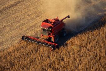 Украина пообещала МВФ создать рынок сельхозземель