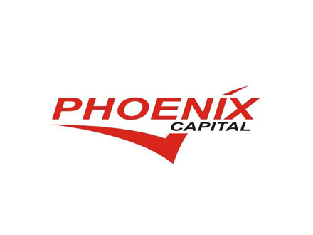 В Phoenix Capital считают, что в этом году курс доллара достигнет 15 грн