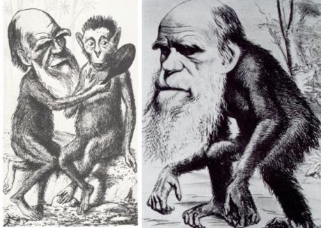 Теория Дарвина на банковском примере