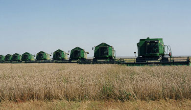 Крупнейшие зернотрейдеры Украины
