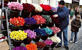 Продавцы цветов вдвое повысят цены на букеты к 8 Марта