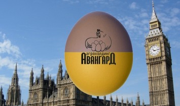 Крупнейший украинский производитель яиц выйдет на биржу в Лондоне