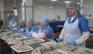 Треть рыбы в Украине признали некачественной