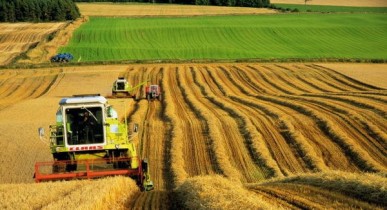К 2019 году рост сельхозпродукции в Украине составит 29% - ООН