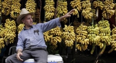 ЕС завершил «банановую войну» с Латинской Америкой