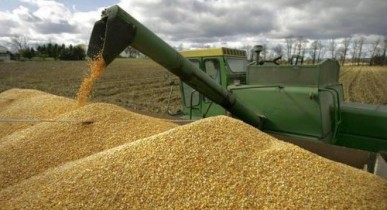 Мнение: В случае отмены квотирования зерновых Украине угрожает экономический кризис