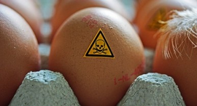 Чернобыльская радиация продолжает заражать продукты