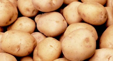 Азарова попросили не вмешиваться в картофельную отрасль