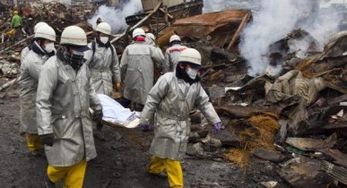 Число жертв стихии в Японии достигло 14755 человек