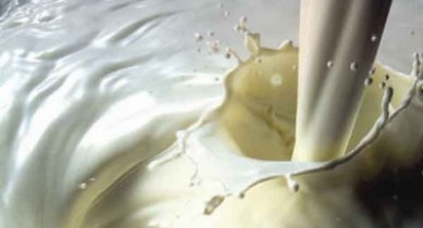 Молоко в Украине подорожало вопреки сезонному снижению цен