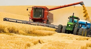 Украина к 2017 году будет способна производить до 80 млн т зерна в год, — Безуглый