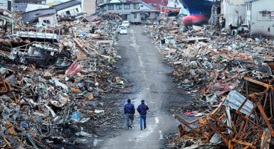 Число жертв стихии в Японии достигло 15648 человек