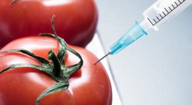 Власть обуздала ГМО