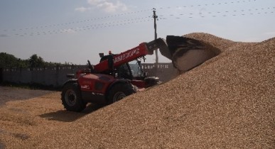 Россия может свернуть транзит зерна через Украину, нарастив свои мощности