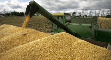 Урожай зерна в Украине, количество собранного зерна.