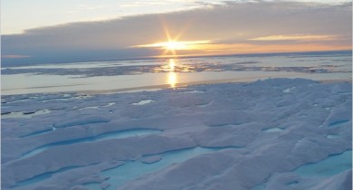Арктика, таяние льда, Арктика может растаять через 10 лет.