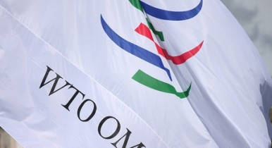 Россия получила согласие Грузии на вступление в ВТО