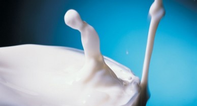 Азаров устанавливает цены на молоко